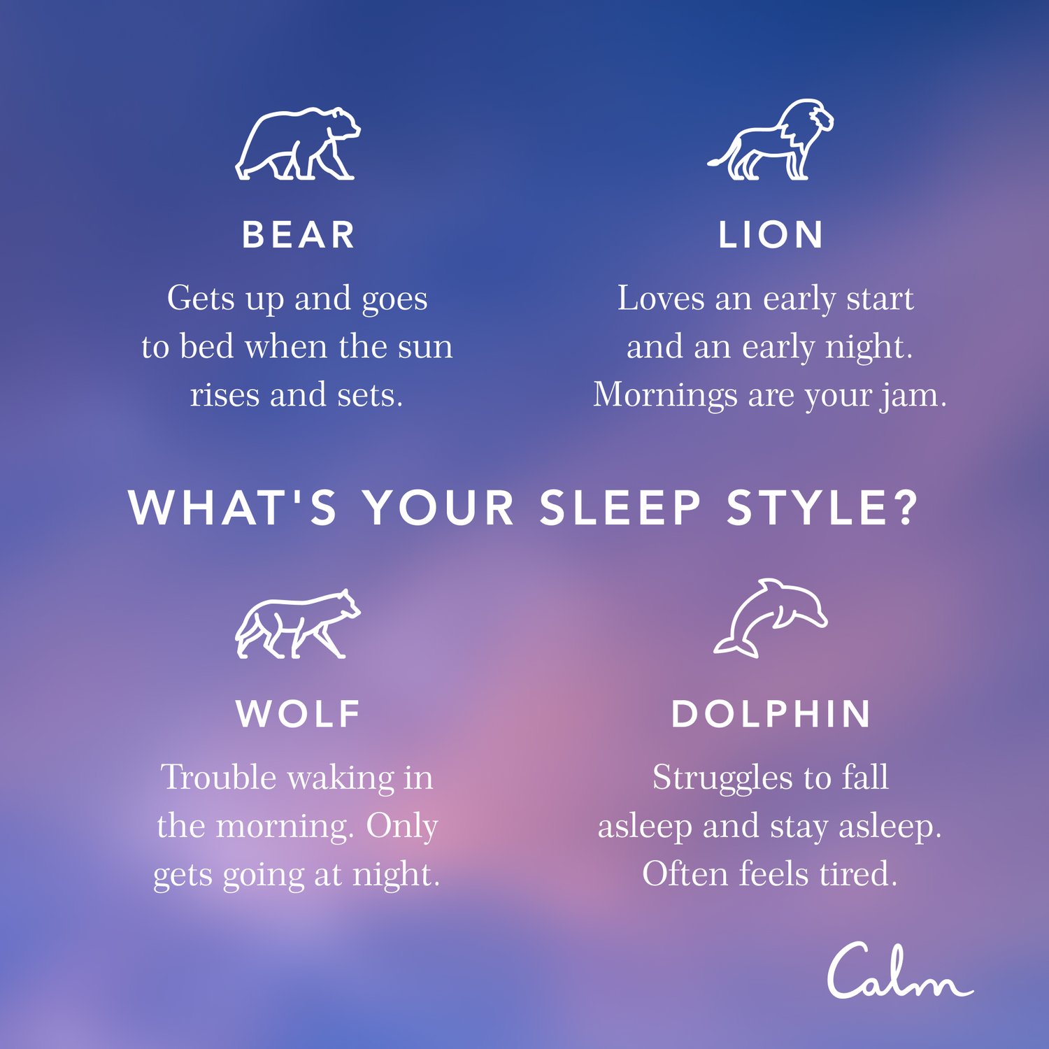 What Your Chronotype Says About Your Sleep Patterns, Productivity & Personality — Calm Blog