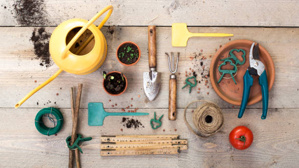 Gardening Tools Market: Probable Key Development Trends, Regional Growth and Outlook Across by 2027