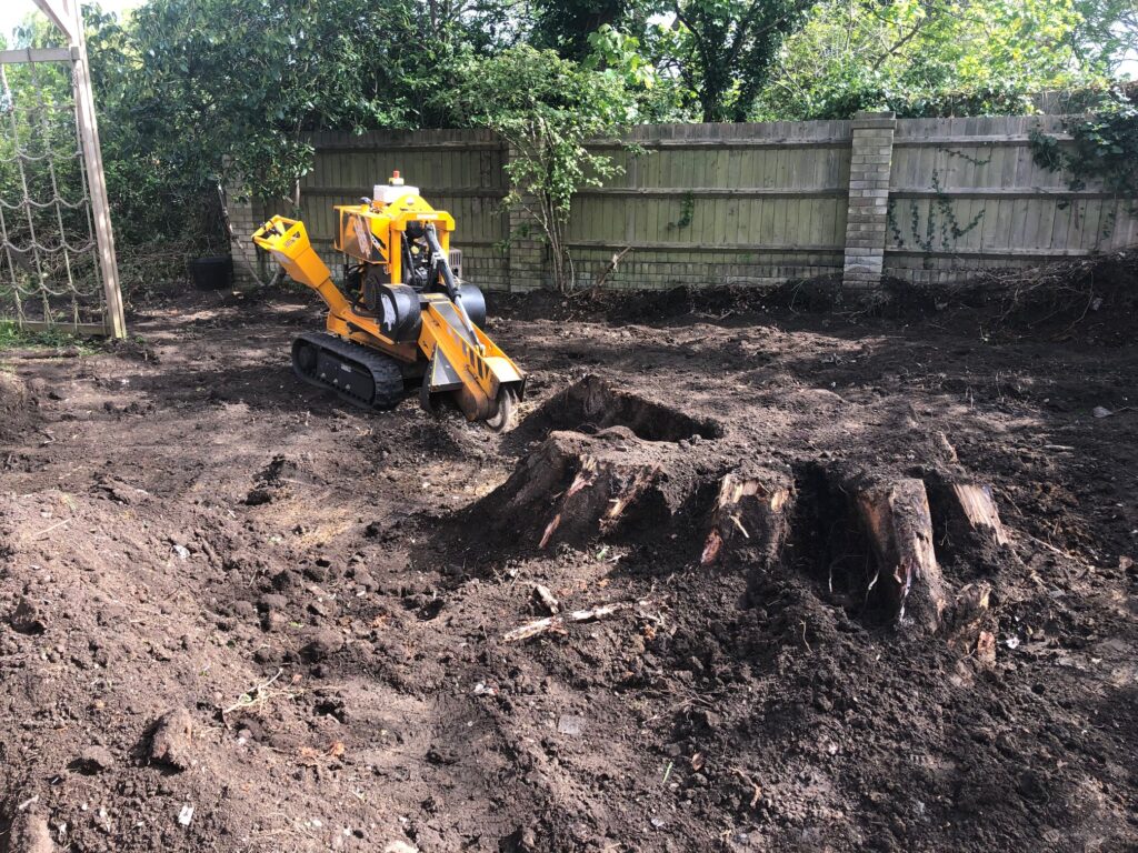 Comprehensive Guide to Safe Tree Removal: Ensuring Your Peace of Mind ...