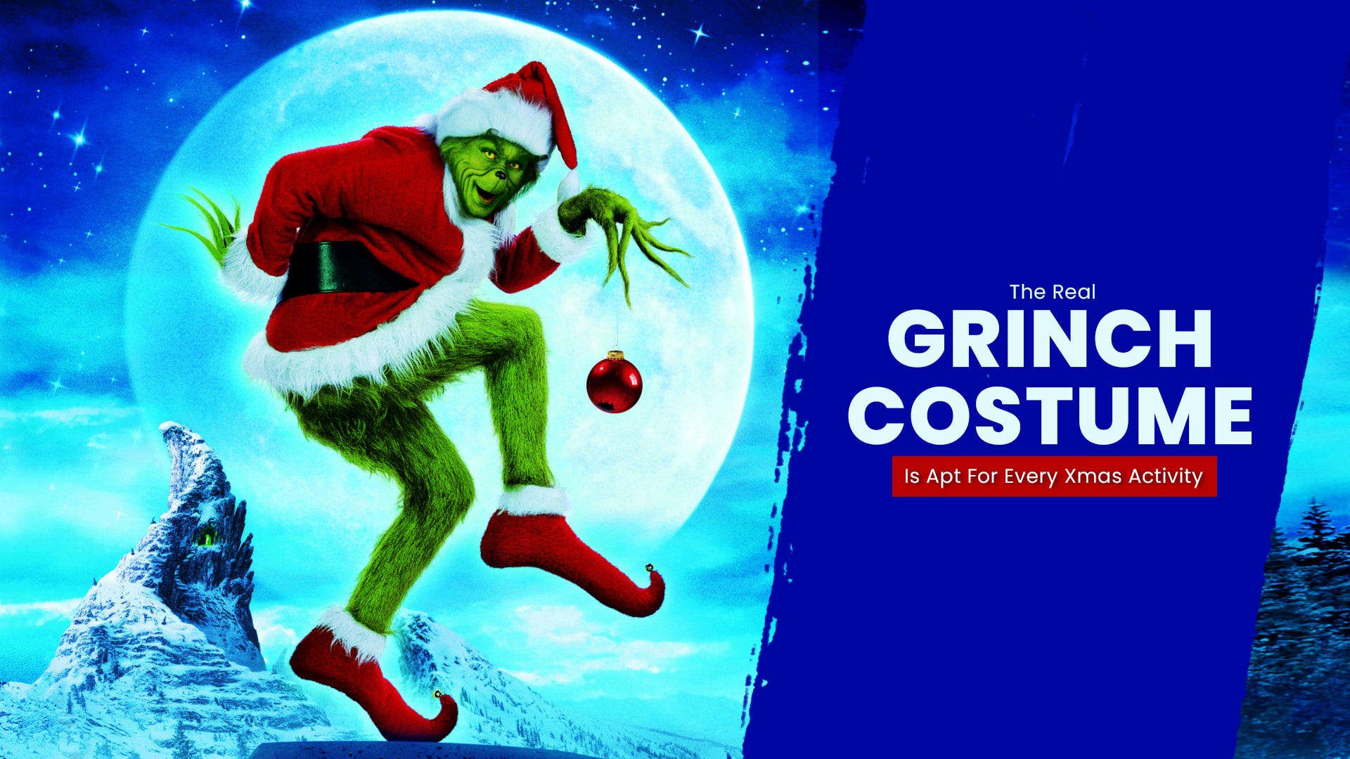 The Real Grinch Costume Is Apt For Every Xmas Activity